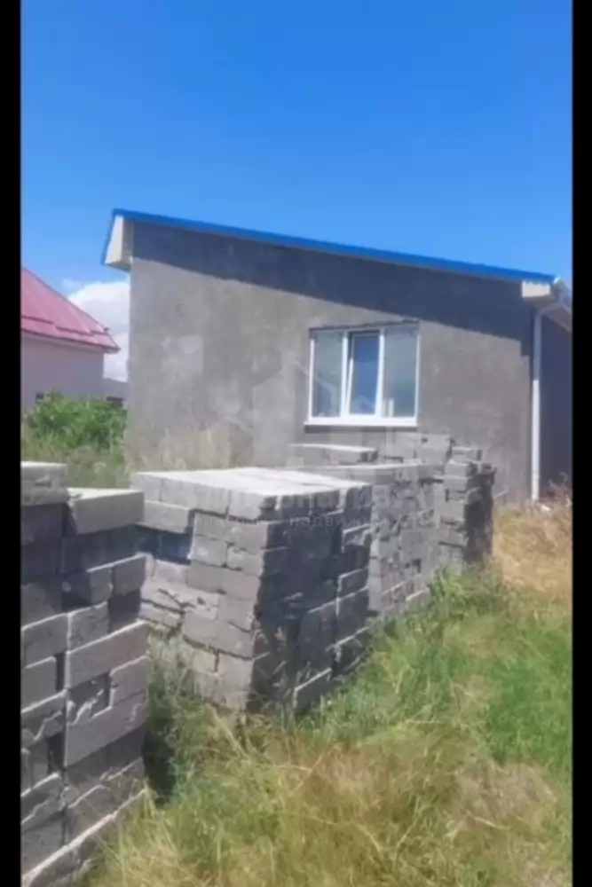 1000607347