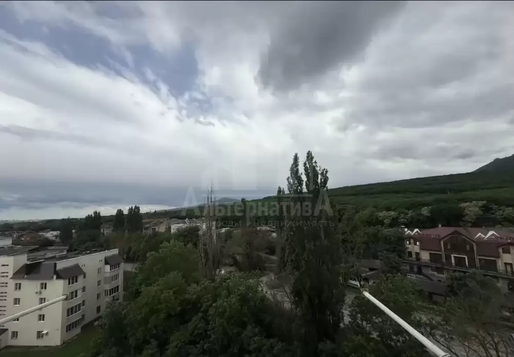 1000606581