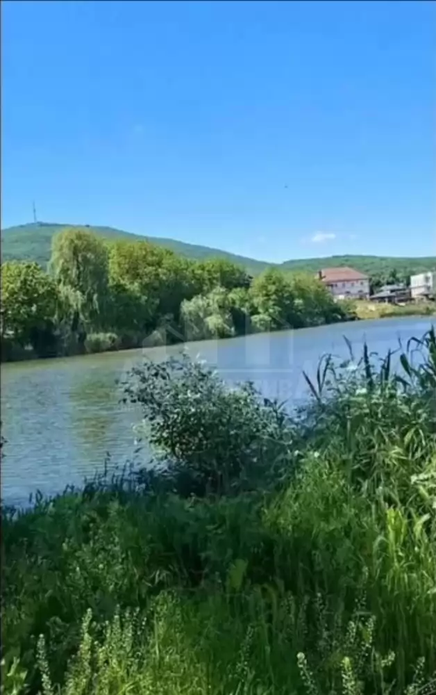 1000611308