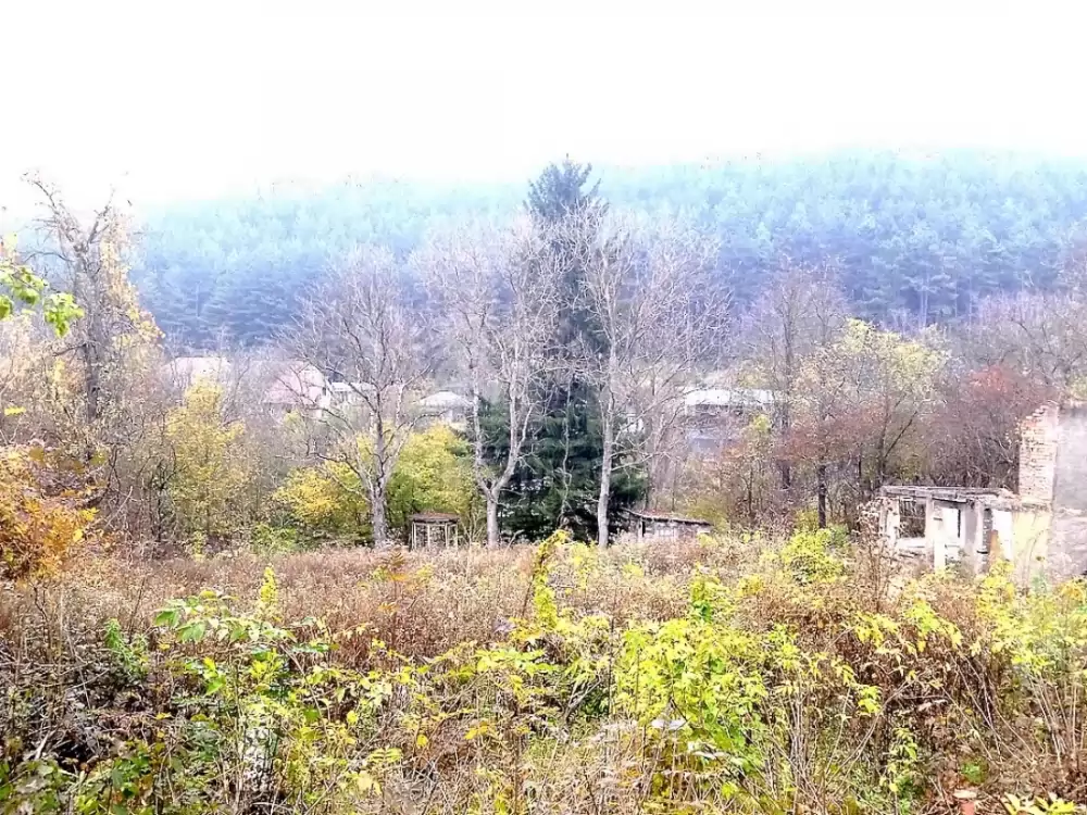 участок