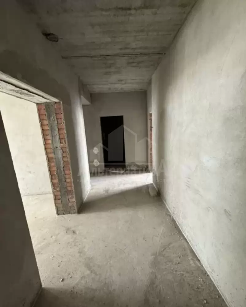 1000231806