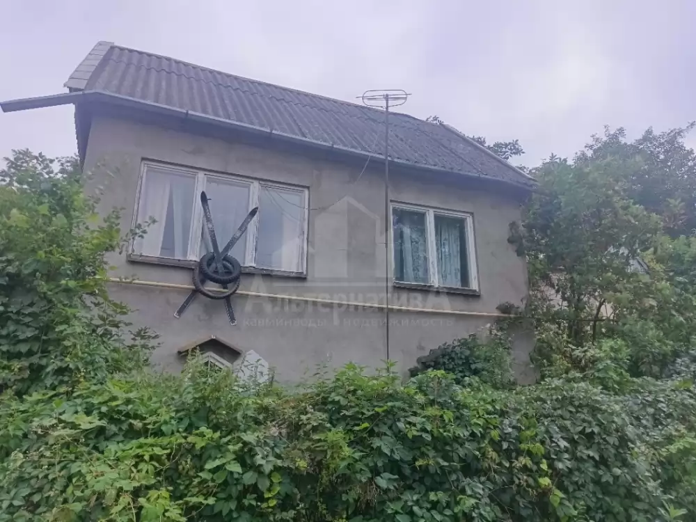 1000592735