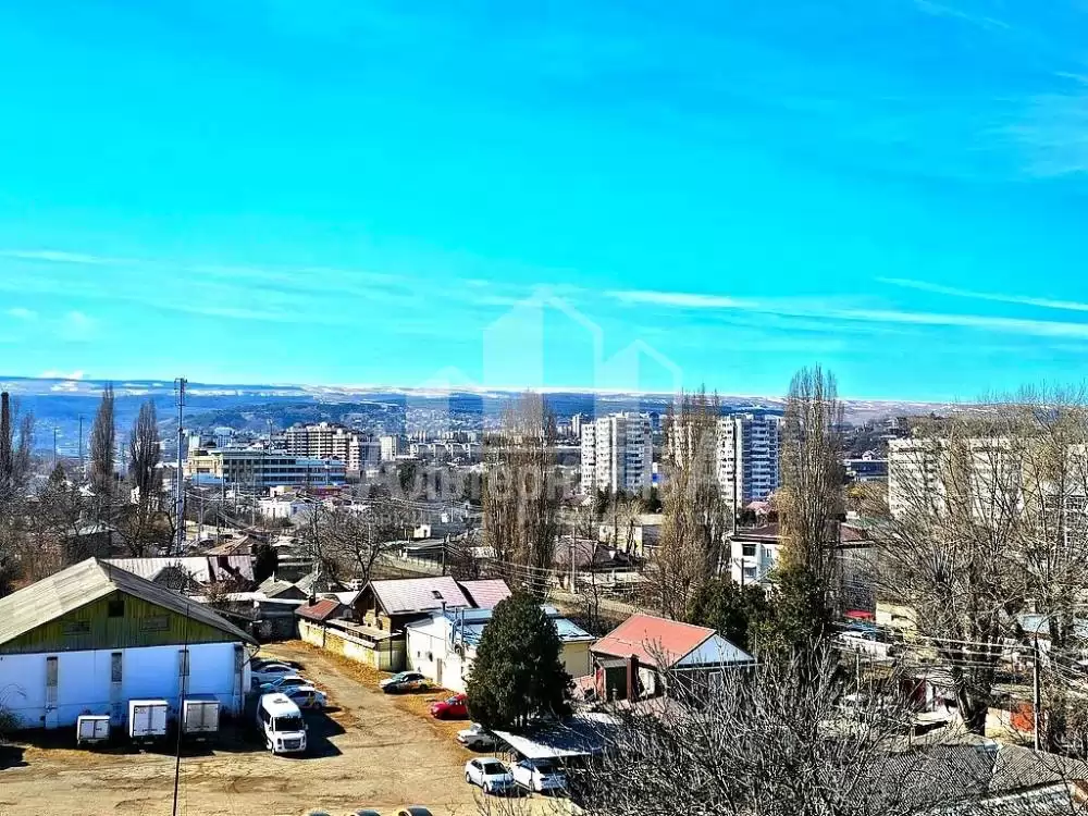 20250308_105452