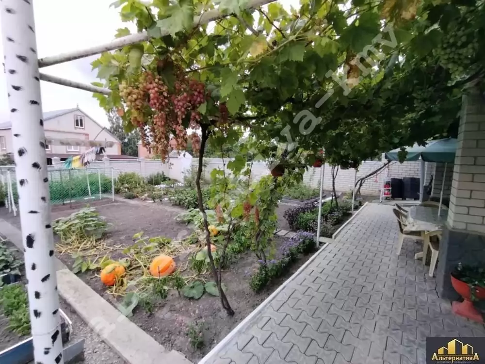 watermarked - d03546fb-4adf-49ab-af68-88162be49070