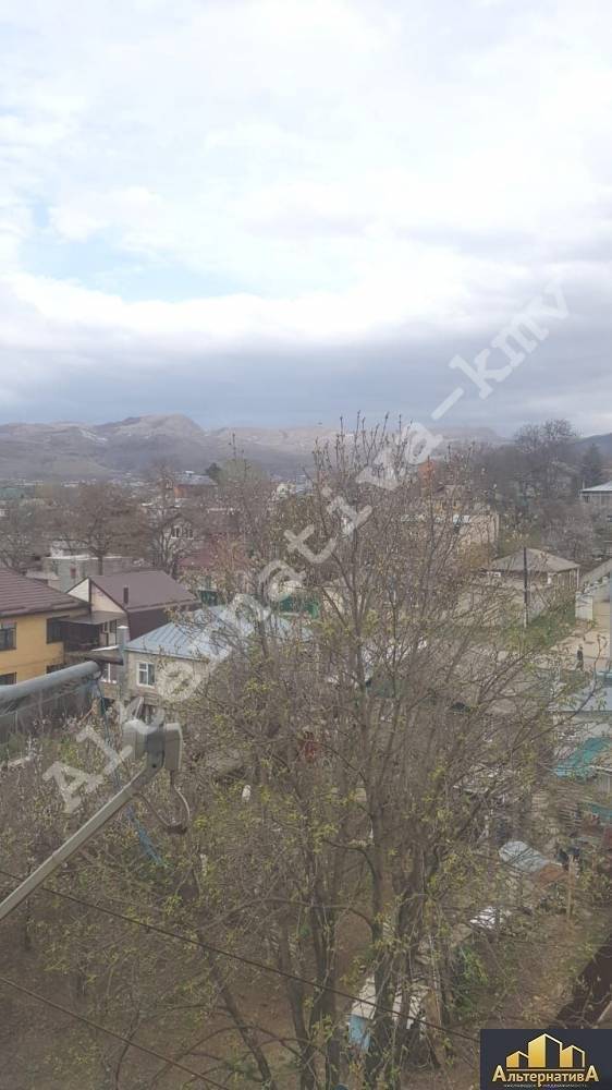 watermarked - 3e354fe2-a4fe-4e40-8fc2-76dccccee4e5