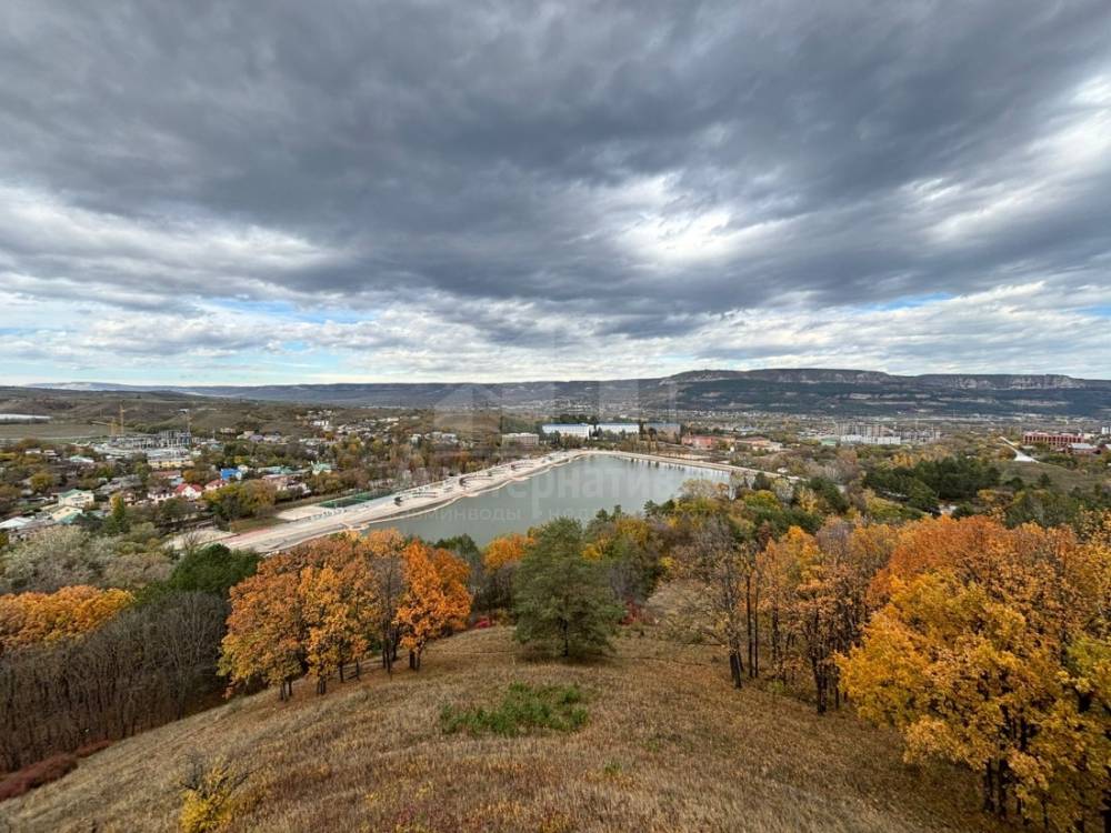 81b49347-3e50-4a50-8cd0-51cd0ef8ed41