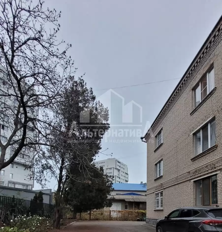 01 (19)