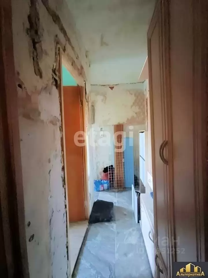 81a9041e-3f96-4ebd-84db-343ea38aba5c